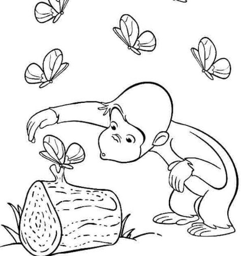 Mẫu tranh tô màu dành cho bé hình con khỉ đang nô đùa với bướm